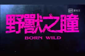 抖音大火的“冰箱花”，原来出自这里！钢铁直男的浪漫，太可了图片