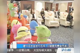 建行压岁金发行5年，小猪麦兜携金而来视频封面