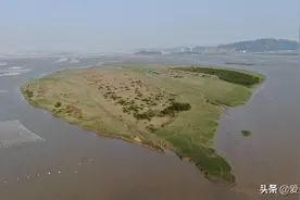 无人机镜头下发现在福建漳州九龙江的一座无人小岛图片
