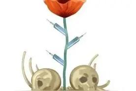 @所有金华人，这种植物一株都不能种！图片