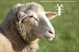 一场“有味道”的缝合操作培训图片