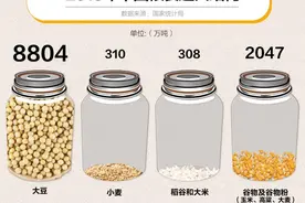 别担心粮食安全了，咱来算算这笔账你就清楚了图片