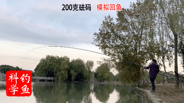 鱼竿测评：我花1300元买了迪佳传统钓长竿，你觉得亏了吗？