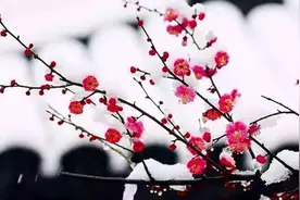 古代对颜色的雅称，美极了图片