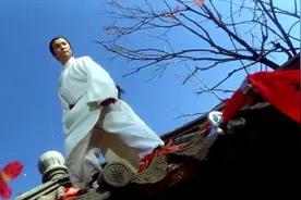 武侠电影最大悬案？《新少林五祖》的陈近南真的打不过马宁儿吗？图片