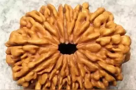 文玩圈 八大“奢侈品”手串！天珠只能排第二图片