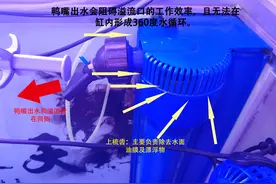 底滤鱼缸鱼屎吸不走，底滤鱼缸粪便吸不走怎么办图片