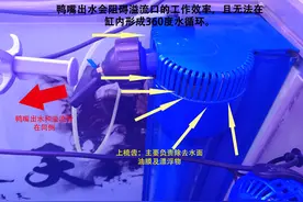 底滤鱼缸鱼屎吸不走，底滤鱼缸粪便吸不走怎么办图片