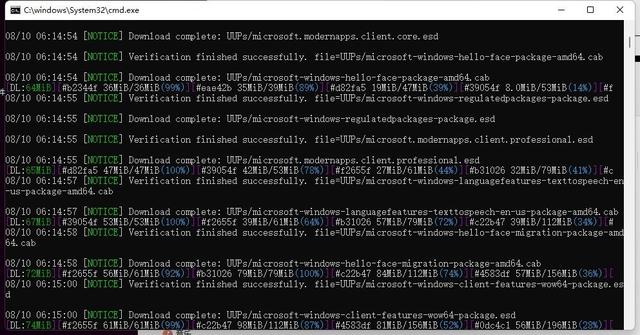 使用UUPdump.net来使用UUP和aria2下载最新版本的Windows镜像