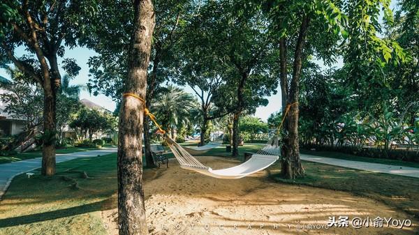 菲律宾｜逃离冷冷的冬天飞去热带的岛屿享受阳光与海滩