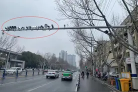 阜阳4处禁鸣智能抓拍系统启用，违法鸣笛将被抓拍曝光，具体位置公布图片