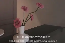 始于心甘情愿，终于愿赌服输图片