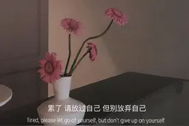 始于心甘情愿，终于愿赌服输图片