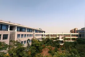 一所废弃十年的大学校园，占地千亩人去楼空，就在上海南汇图片