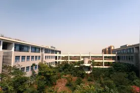 一所废弃十年的大学校园，占地千亩人去楼空，就在上海南汇图片