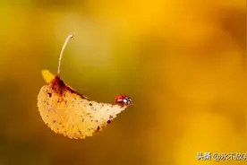 每件事都会有结果！图片