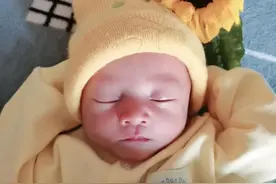 孕期吃鹅蛋可以预防宝宝黄疸是真的吗？图片