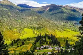 以诗为故乡——驻车在川藏线上的鲁朗小镇图片