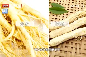 人参也分很多种，吃不对反而损害身体，大医生教你怎么选视频封面