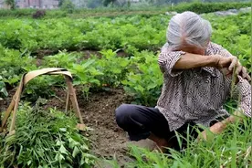 北大教授“大放厥词”，又出惊人语录：农民不值得尊重图片