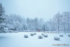 夏有三伏，冬有交九！今年冬天啥时交九？具体是哪一天？图片