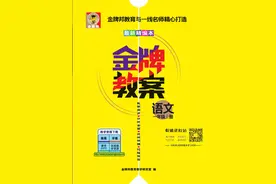 《金牌教案》小学各年级全册语文数学PDF电子版下载图片