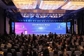 2020世界显示产业大会在合肥召开！图片