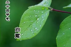 还有四天白露，白露是什么意思？什么时候真正入秋？答案在这里图片