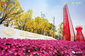 刚需速看，内五区30万以内还能上这些盘图片