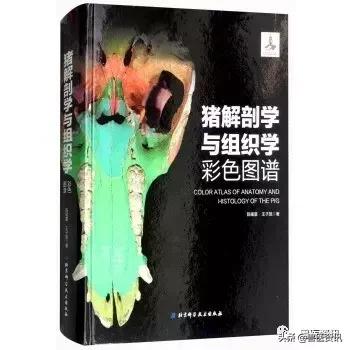 畜牧兽医工作者、猪场人员用书推荐（养猪篇），绝对有你需要的