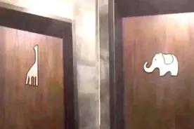 旅游时去卫生间，标志却是大象和长颈鹿，游客：哪个是男哪个是女图片