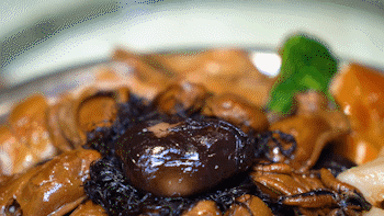 鳄鱼肉炆花胶 2026年鳄鱼胶的吃法