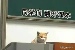 中 国 高 校 猫 咪 图 鉴图片