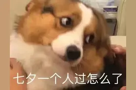 表情包：一个人过七夕怎么了？图片