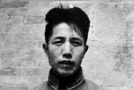 王蒙：周扬的目光图片