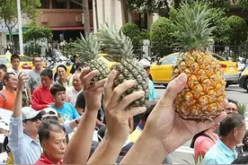 5万吨台湾菠萝卖不出去！国民党高层批民进党：当初怎么羞辱武汉的？图片