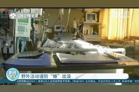 90后宝妈摘栗子碰到马蜂窝 全身被蜇了70多口，不幸身亡图片