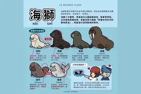 不明觉厉的冷知识，拿来唬人图片