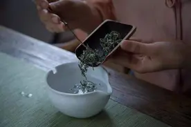 绿茶，别再焖杯泡！5款市面罕见的茶具，让你绿茶从此不“闷杯”图片