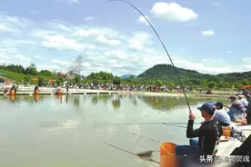 为什么说黑坑小药没什么用处，但是钓鱼人还都在用呢？别忽悠了图片