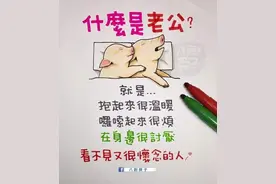 家庭关系夫妻，母女之间的爆笑段子。哈哈哈图片