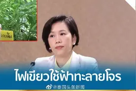 泰国批准穿心莲为无症状患者使用药物图片