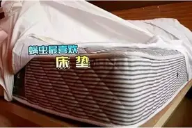 1000万只螨虫陪你睡？可怕！这样做，教你轻松除掉螨虫图片