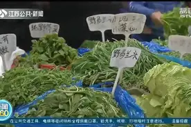 带着“春天的气息”，野菜来了！南京“七头一脑”已上市图片