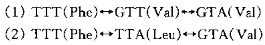 dNdS与KaKs的关系，你搞清了吗？