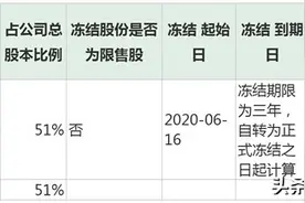 因民间借贷纠纷 蓝科高新控股股东1.8亿股被冻结图片