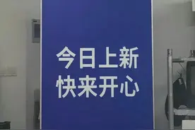今年应该不会碰到心软的神了 那就养一个吧图片