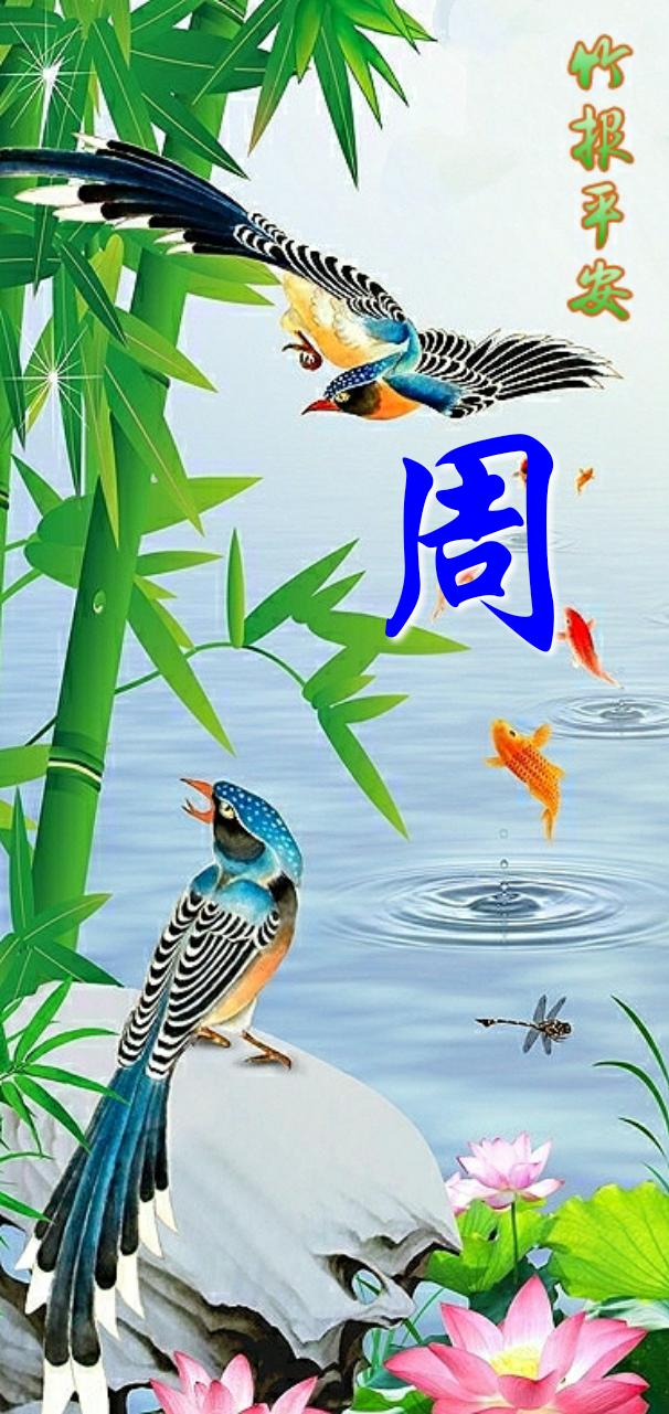 平安是福,常用姓氏竹报平安精美壁纸送给你,全面屏大