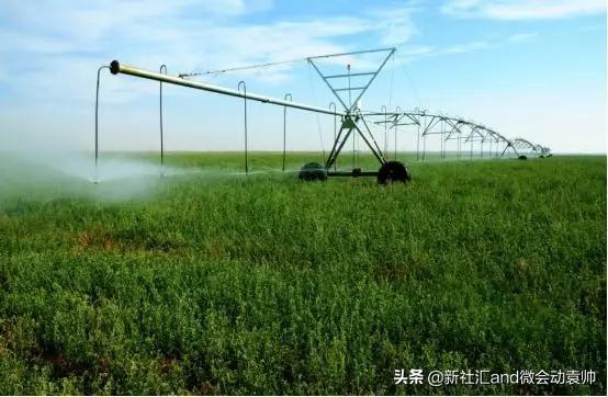 牛票讯息：70年破茧蝶变，通辽以现代农牧业构筑内蒙“粮仓肉库”