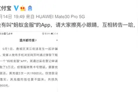 支付宝：没有叫“蚂蚁金服”的App图片